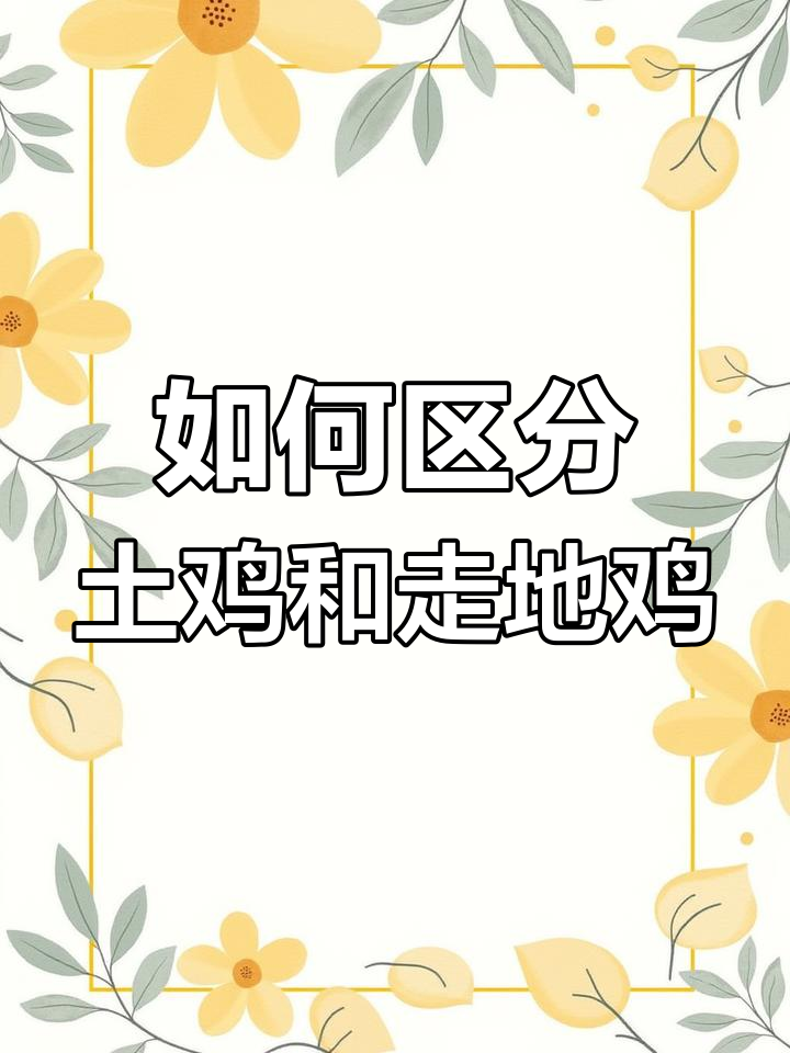 土鸡与走地鸡的区别解析
