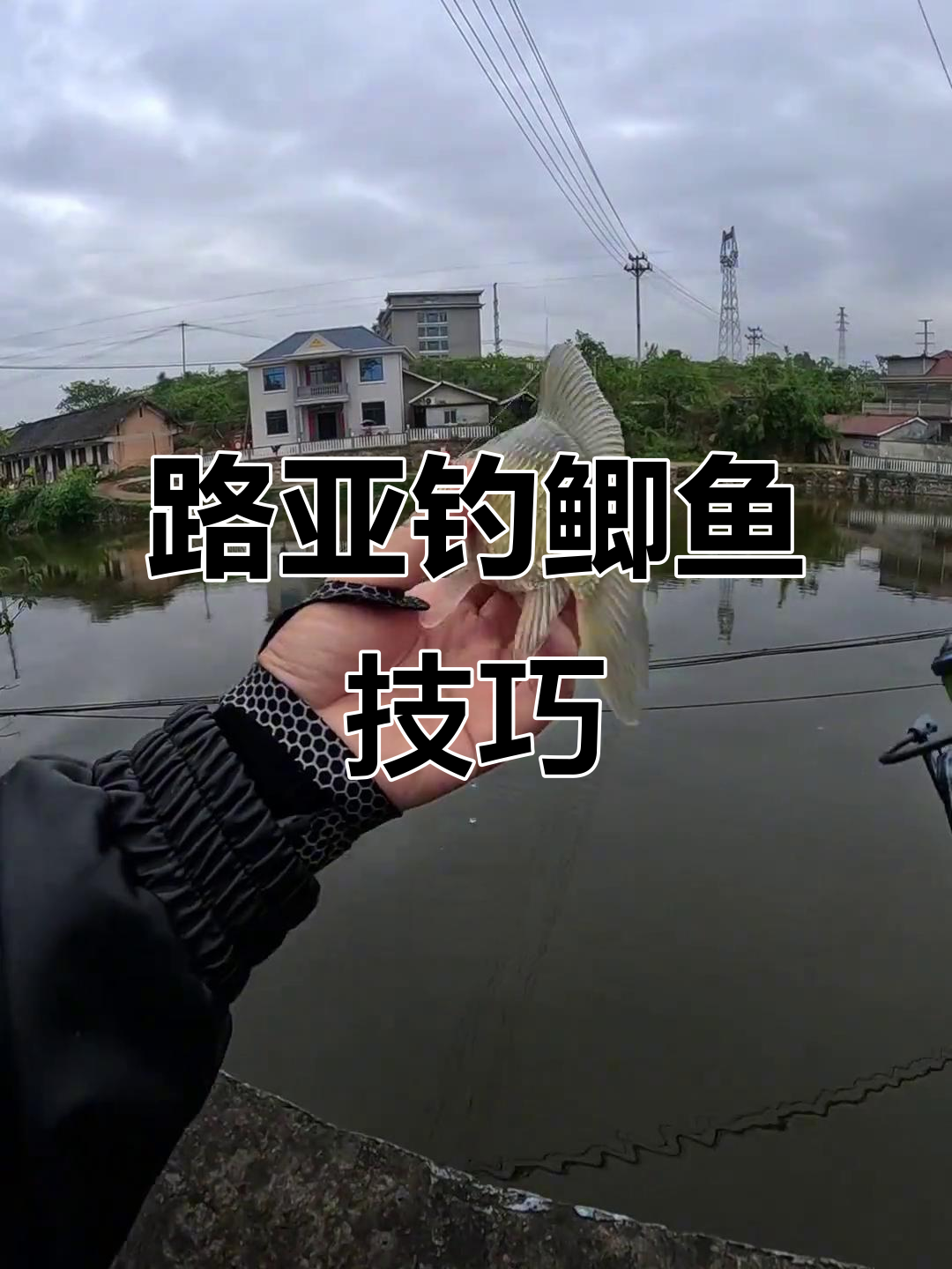 路亚钓鲫鱼,轻松搞定远近障碍