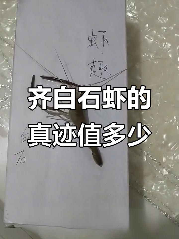 齐白石的虾真迹现身,专家估价让人意外!