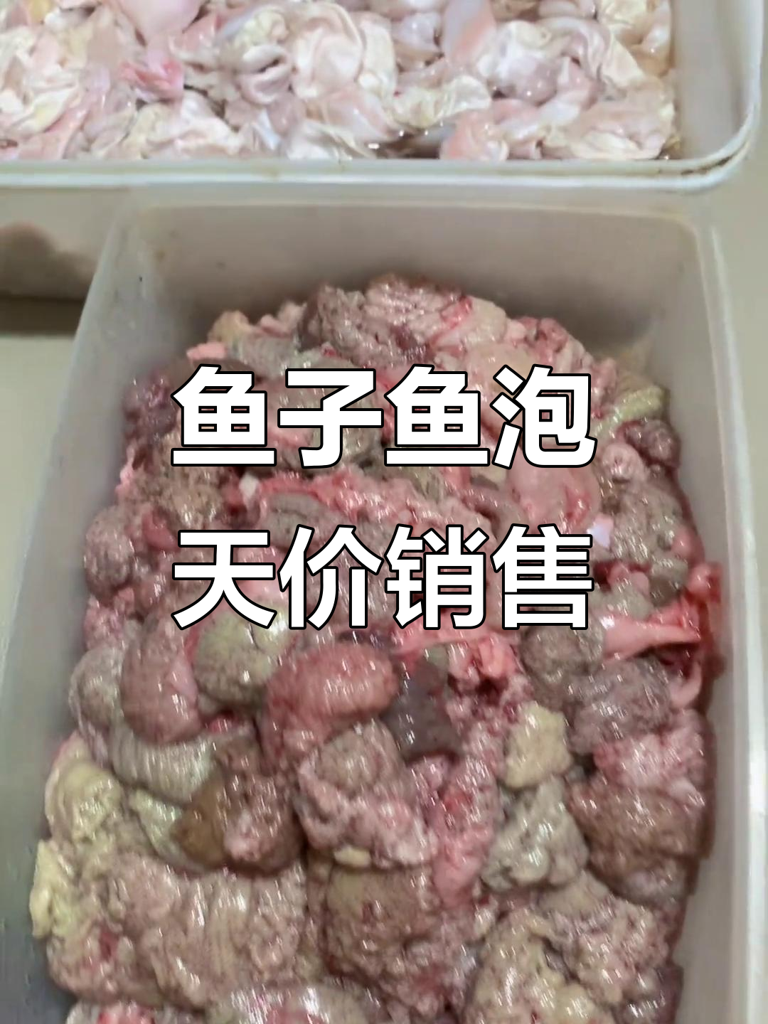今年鱼籽和鱼泡价格暴涨,商家分开卖更赚钱