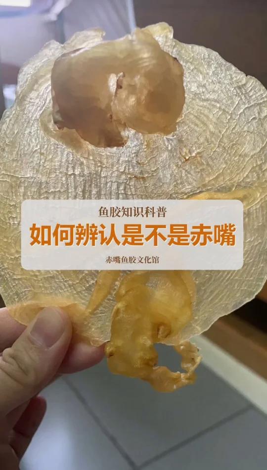 如何分辨赤嘴鱼胶?