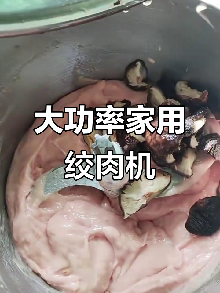 力果绞肉机,大功率纯铜电机,轻松制作各种肉类食材