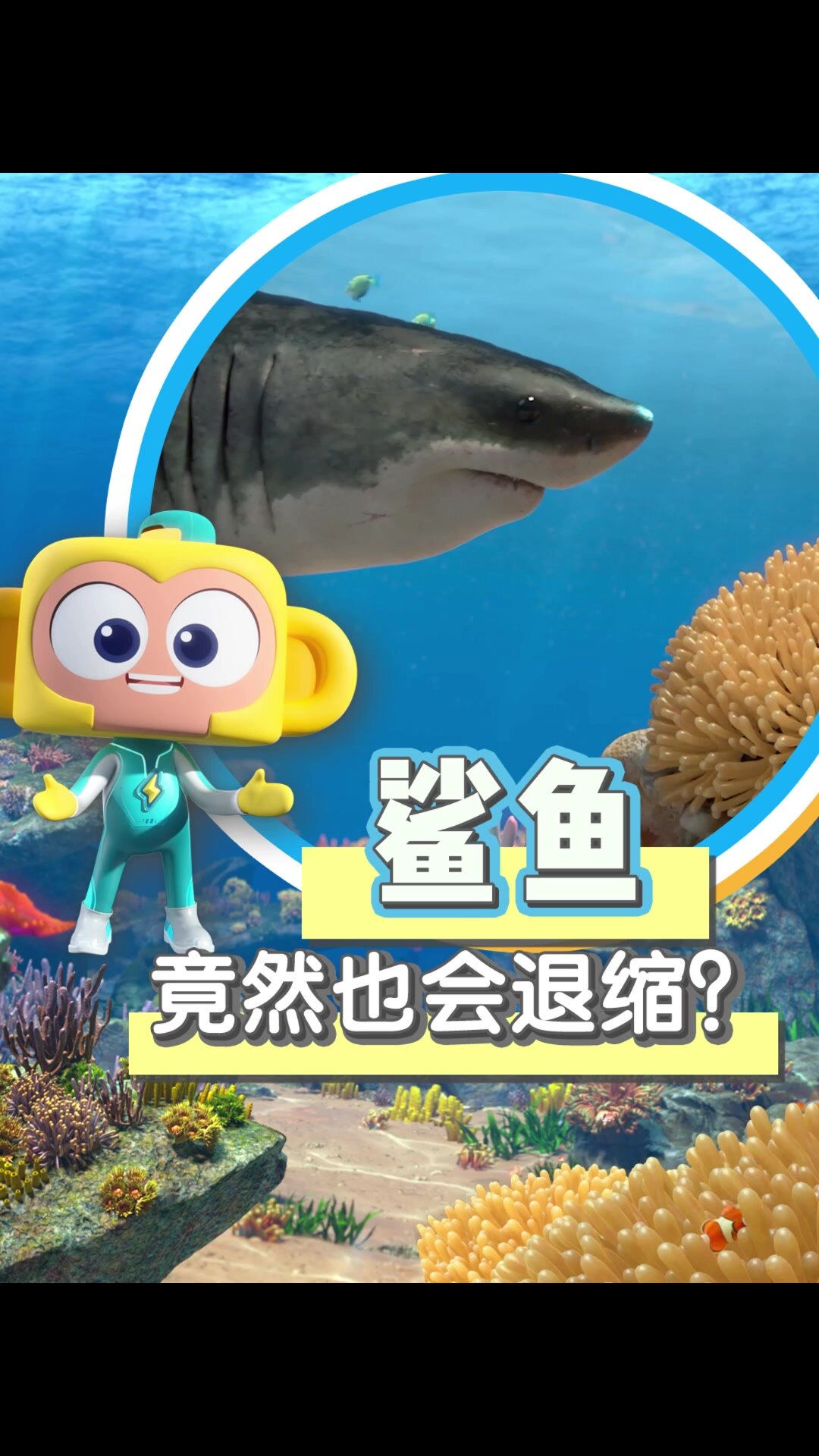鲨鱼到底怕什么呢?
