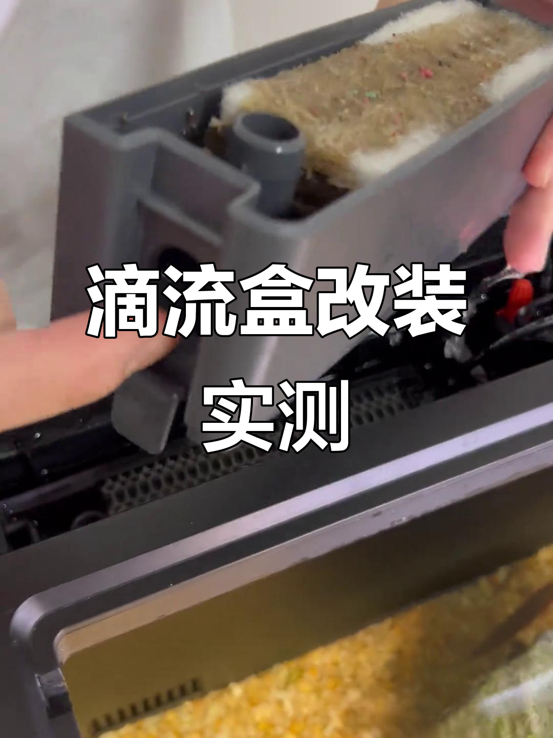 当贝鱼缸加装两层滴流盒,效果惊人!水流强劲变化大