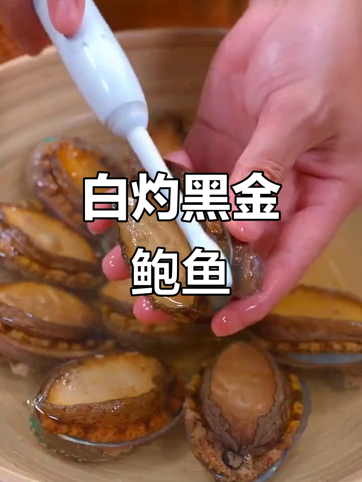 鲜冻黑金鲍鱼,白灼做法超简单,弹牙爽口又美味