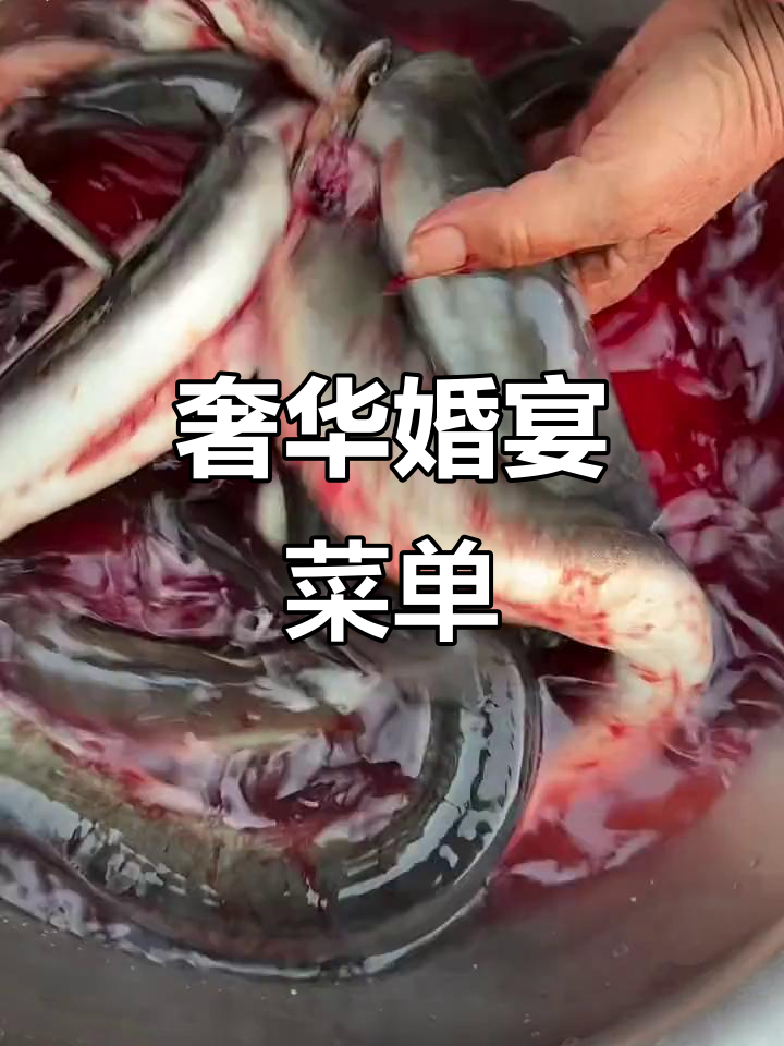 豪华婚宴,30道精致菜肴,海鲜大餐与经典美味一网打尽