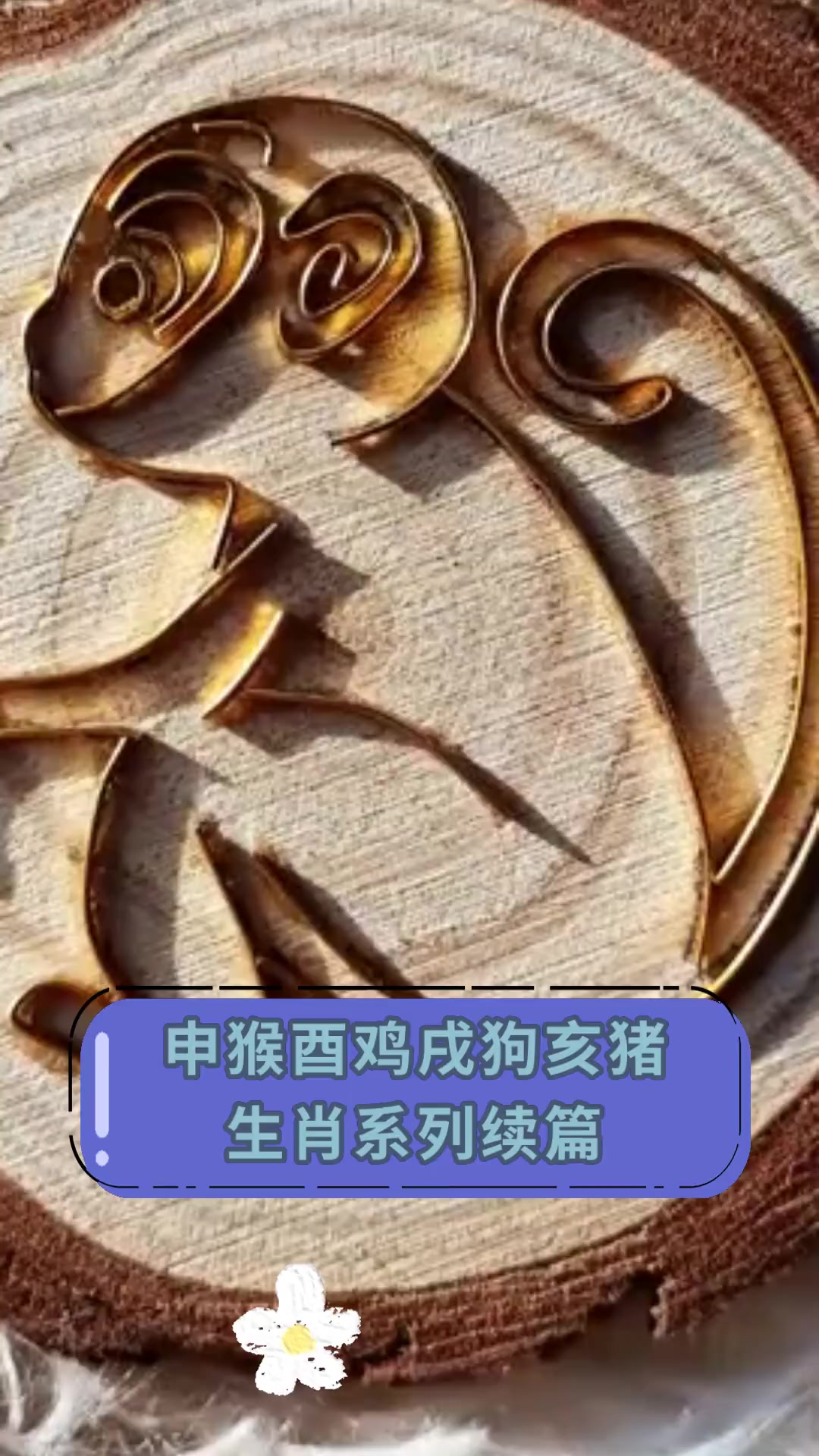 申猴酉鸡戌狗亥猪,生肖系列续篇