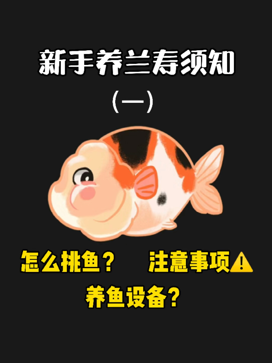 新手养兰寿必看功课(一)带你避坑省钱养好鱼