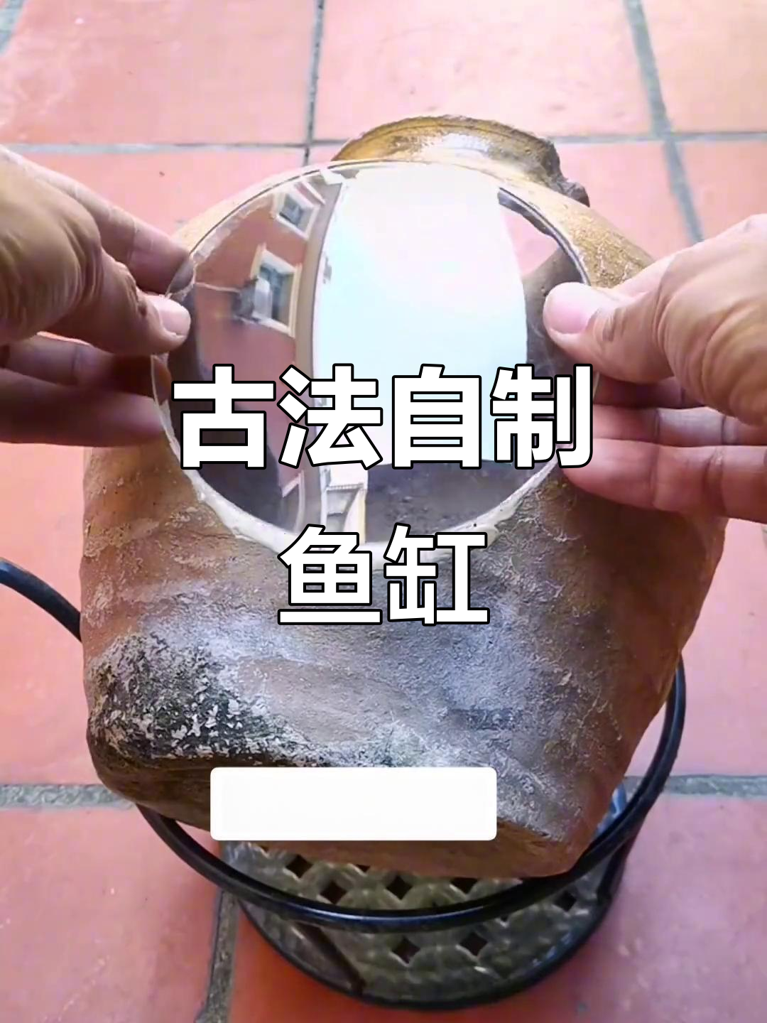 自制酒坛鱼缸,古法养鱼的魅力与美景