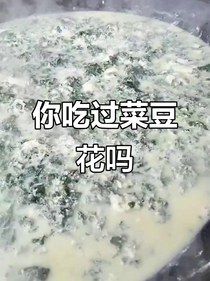 菜豆花:你尝过吗?纯天然绿色食品,活麻活斗人痛了