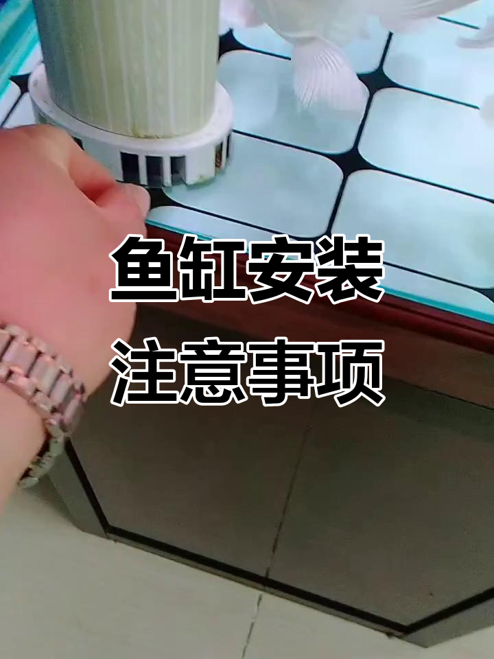 鱼缸安装细节全解析,教你如何轻松搞定