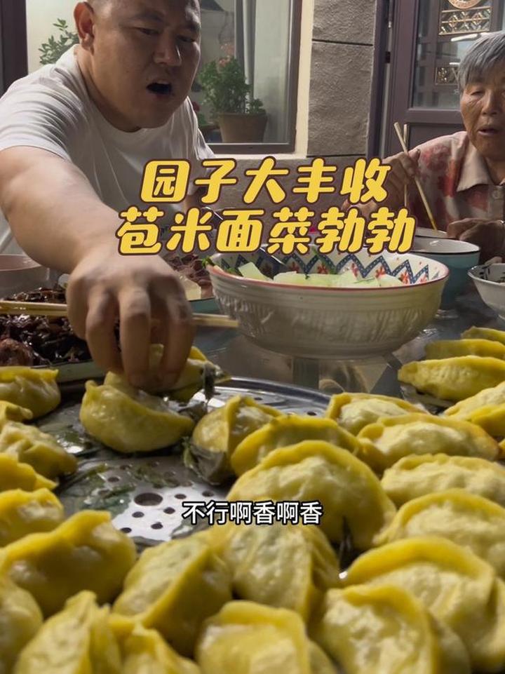 东北菜园子迎来大丰收，感受乡村生活喜悦
