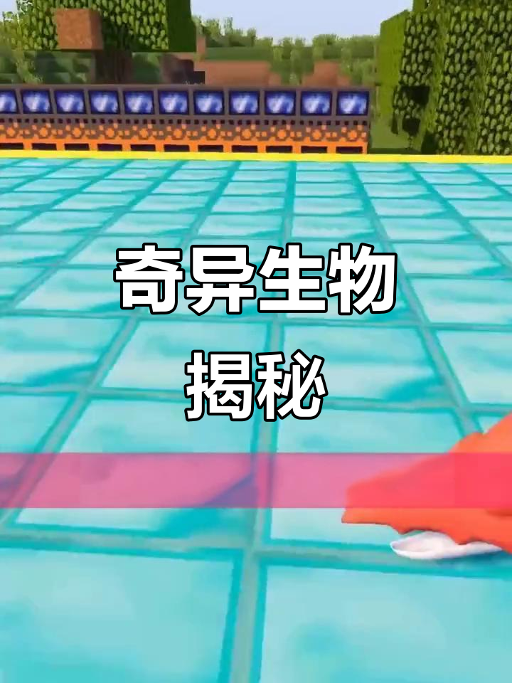 钢炮臂虾的奇特结构,小虾眼睛藏在大手臂里