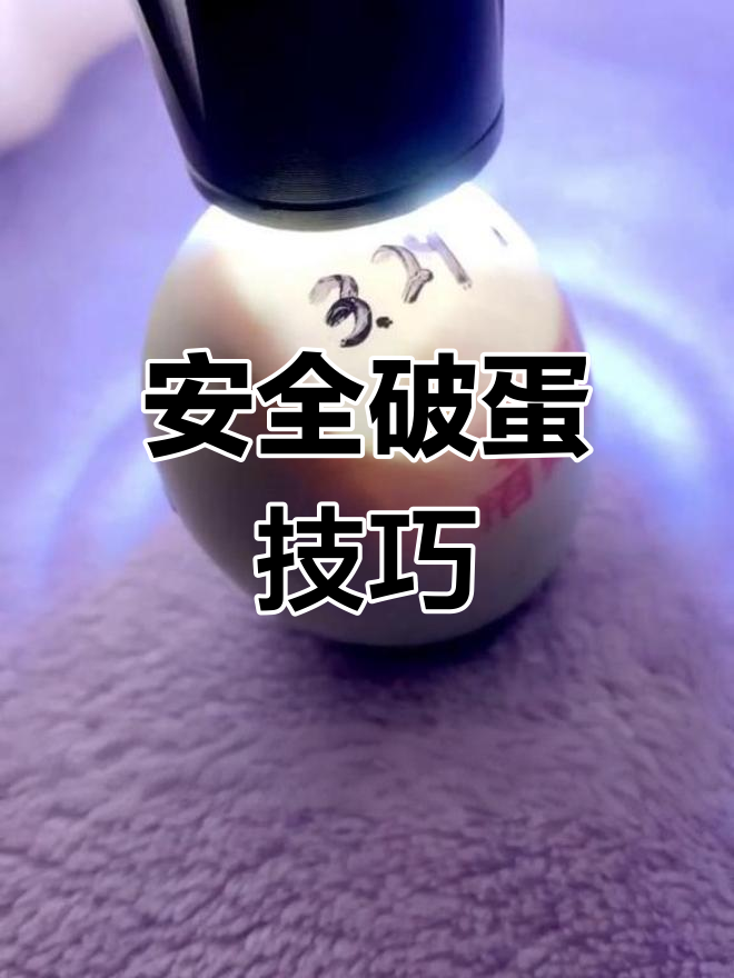 轻松破壳孵化小鸡,安全又简单