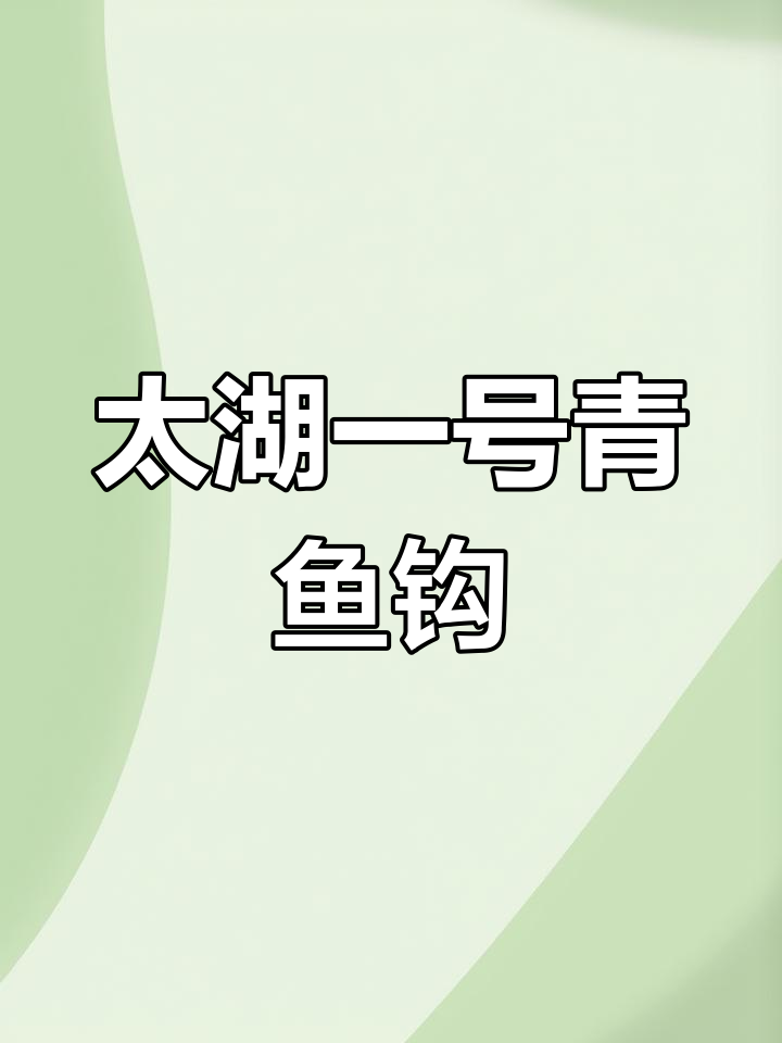 青鱼珠珠钓具推荐,冬季必备!
