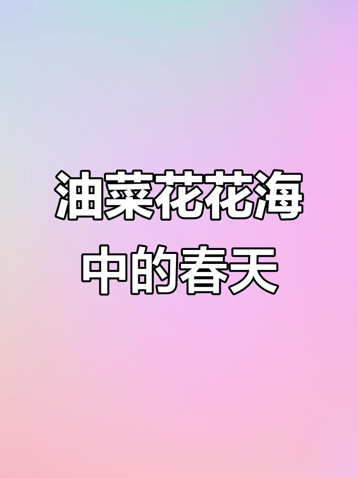 走进油菜花海,感受春天的温暖与宁静