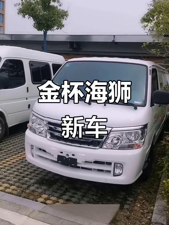 2020年金杯海狮,一万公里新车,外观如新!