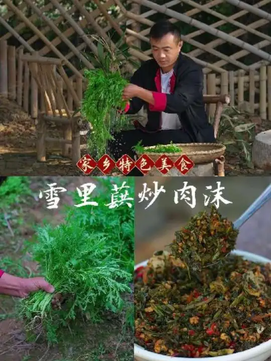 又到了吃雪里蕻的季节，挖上一篮，做一道从小吃到大的家乡味道——雪里蕻炒肉沫，咸鲜开胃，好吃