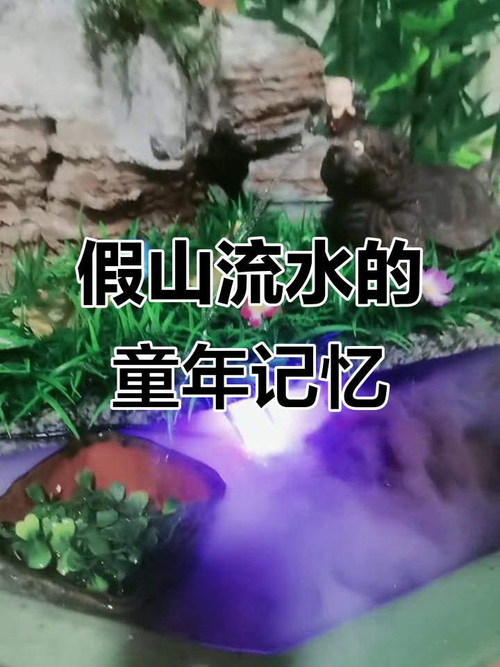 小时候的快乐与长大后的无奈,假山流水养鱼缸能带来多少回忆?