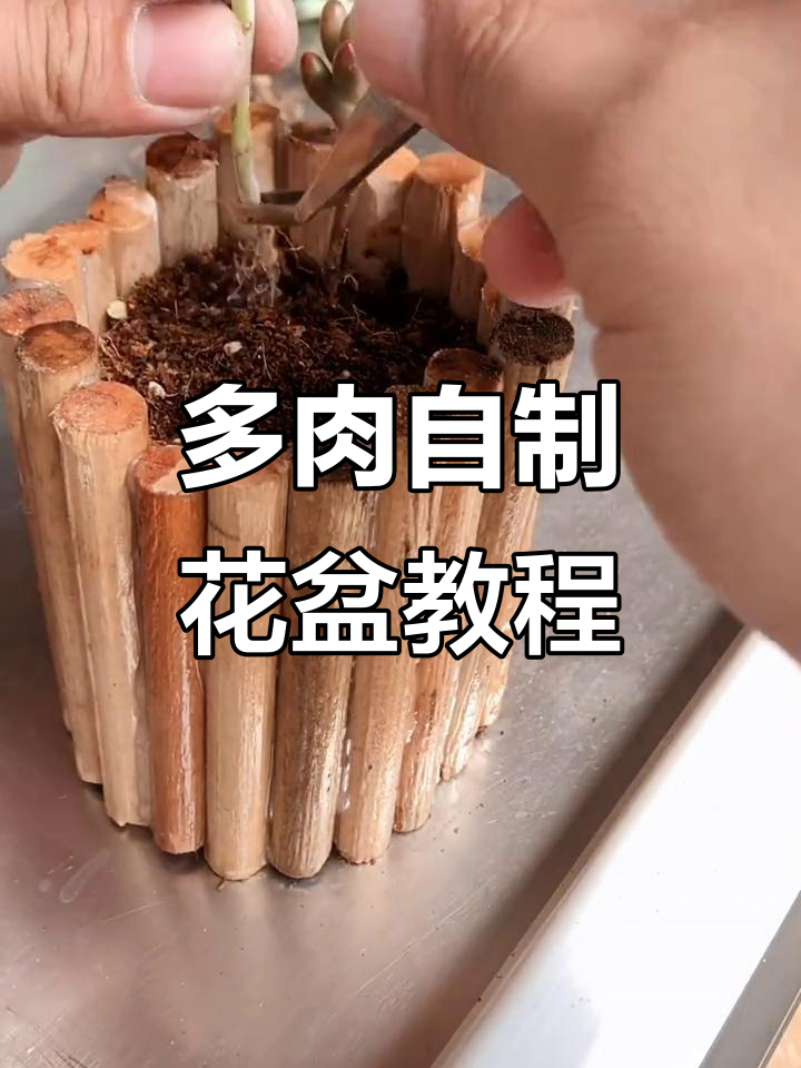 自制多肉花盆,打造独特造景风格