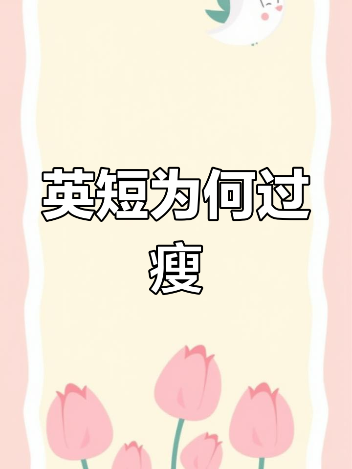 英短偏瘦的四大原因,如何解决?
