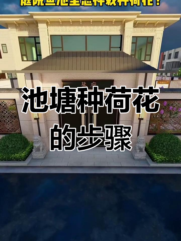 庭院鱼池荷花种植技巧,轻松打造美丽水景