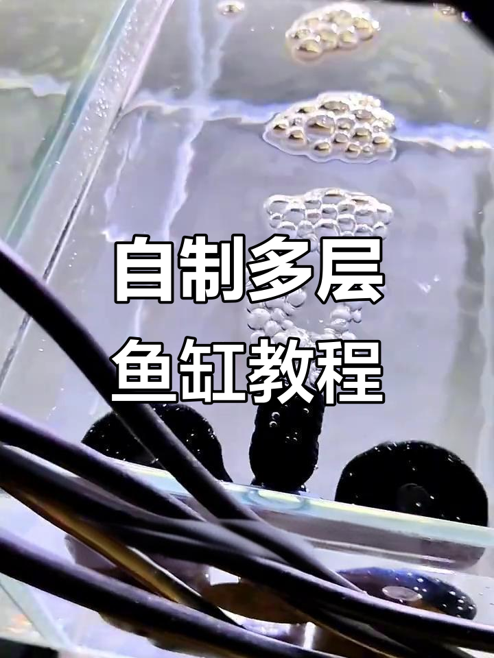 鱼缸不够？自己动手设计多层组缸，轻松搞定！