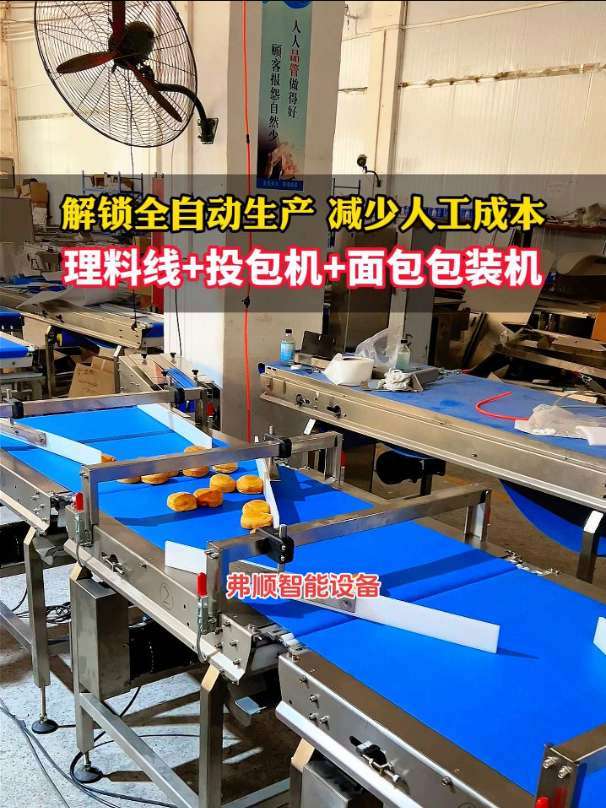 理料线+投包机+包装机,单通道自动化包装设备,可按需定制。理料线包装机 理料线 枕式包装机