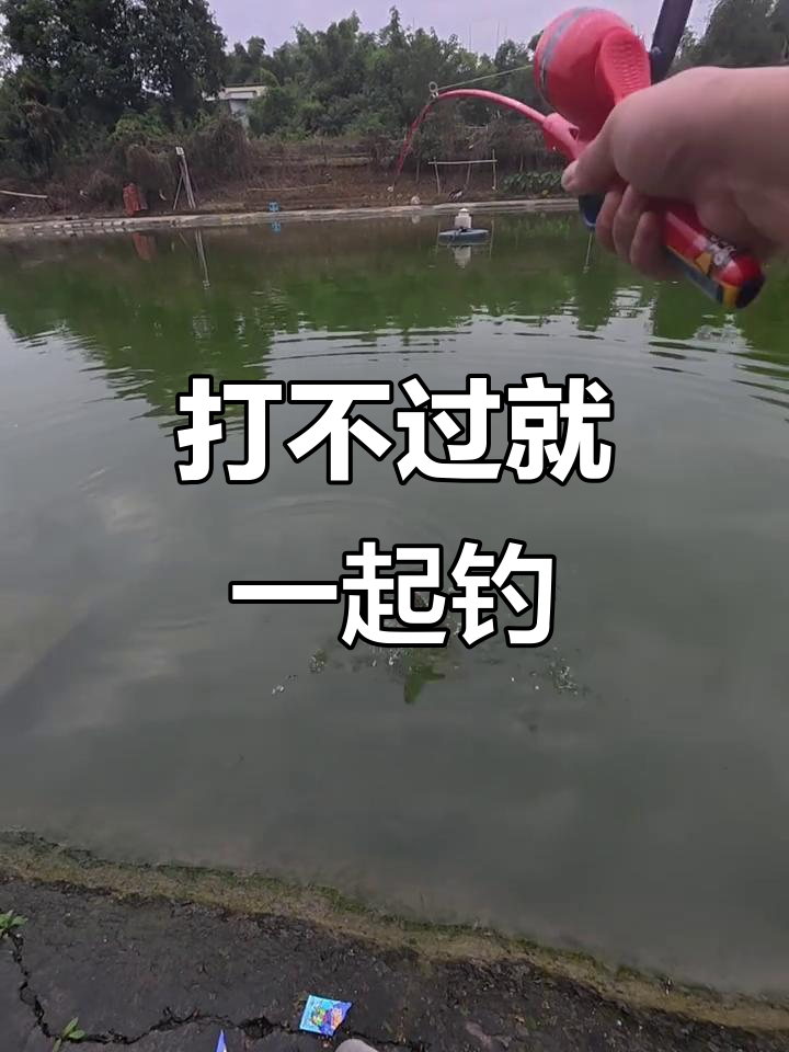 钓不到鱼就加入,父子钓鱼大作战!