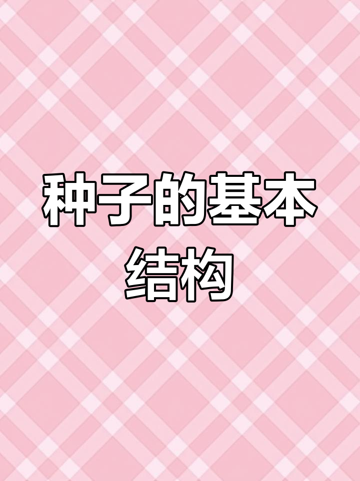 种子结构揭秘:菜豆与玉米的差异