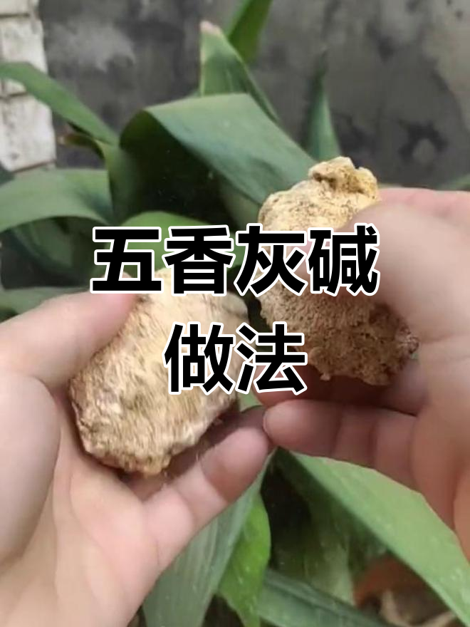 传统五香灰碱制作方法