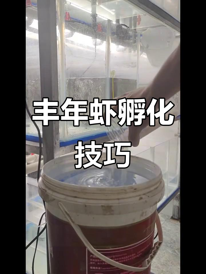 丰年虾孵化全攻略：从盐配比到温度调节