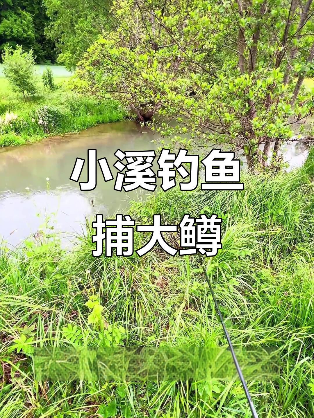德国小溪钓鳟鱼,三十七公分超值美味!