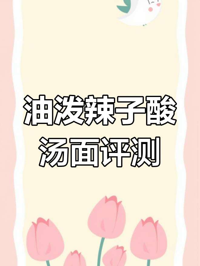 康师傅油泼辣子酸汤面测评:陕西风味再现