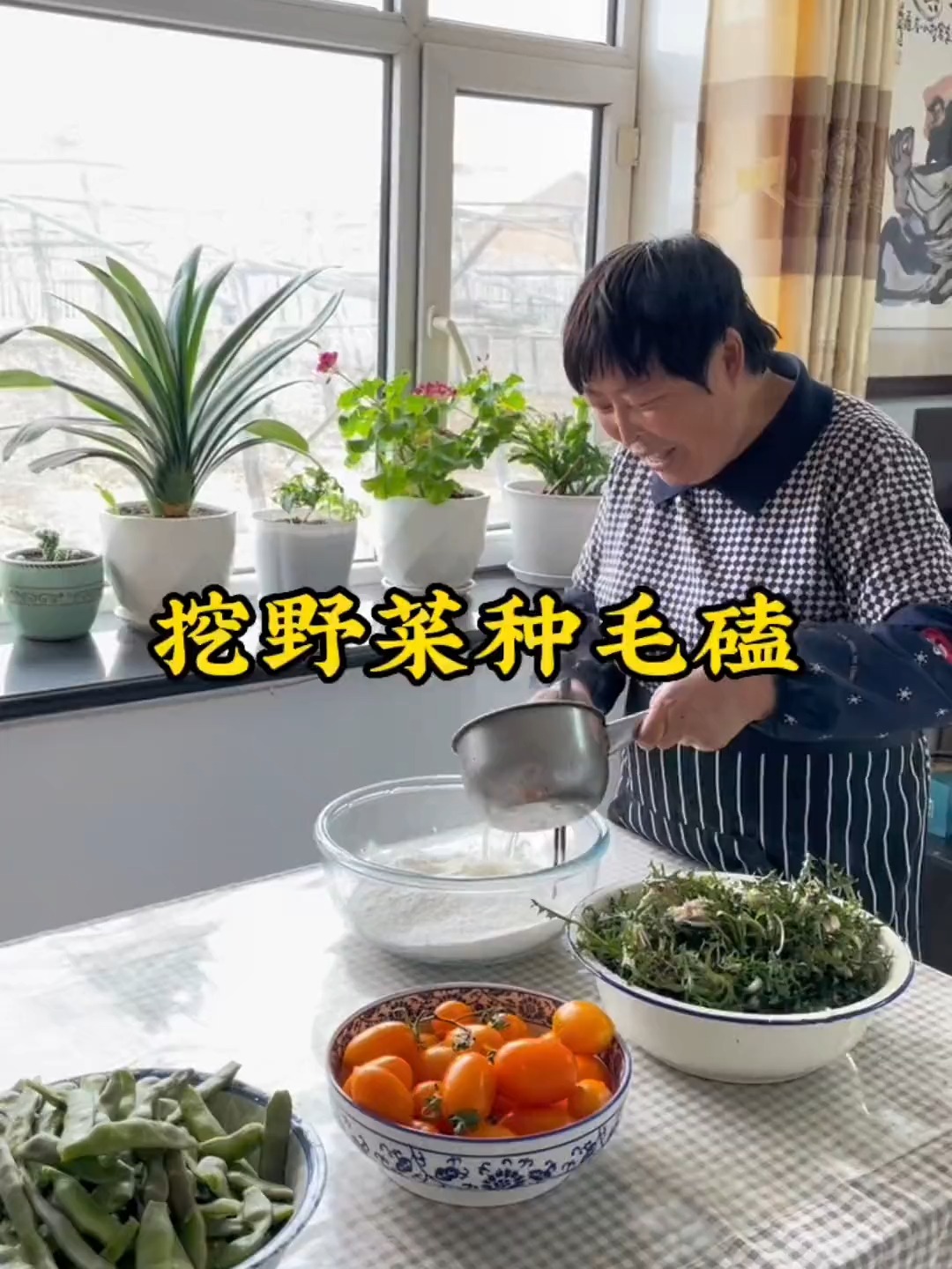 又到了挖野菜和种菜的季节了,忙碌的一年开始了