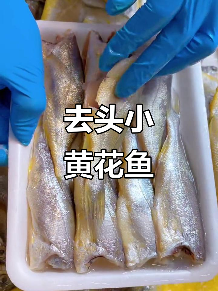 海捕黄花鱼,去头内脏超省心,做法多样美味十足
