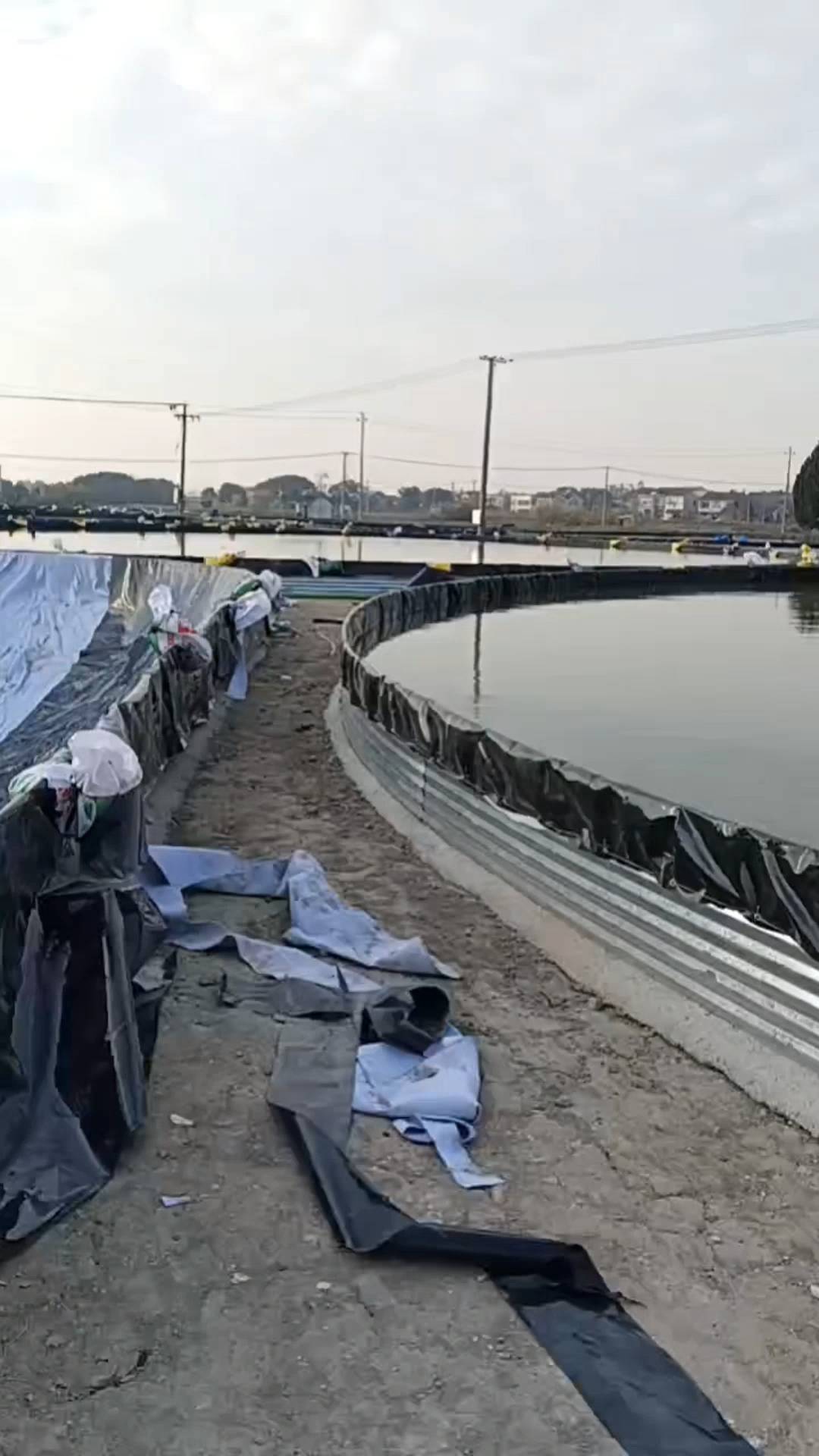 水产养殖基地圆形鱼池防渗施工