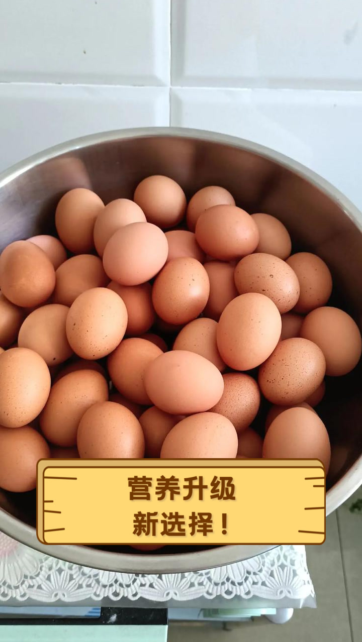 营养升级,新选择!