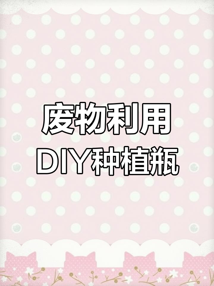 利用废旧矿泉水瓶做种菜容器,简单又实用