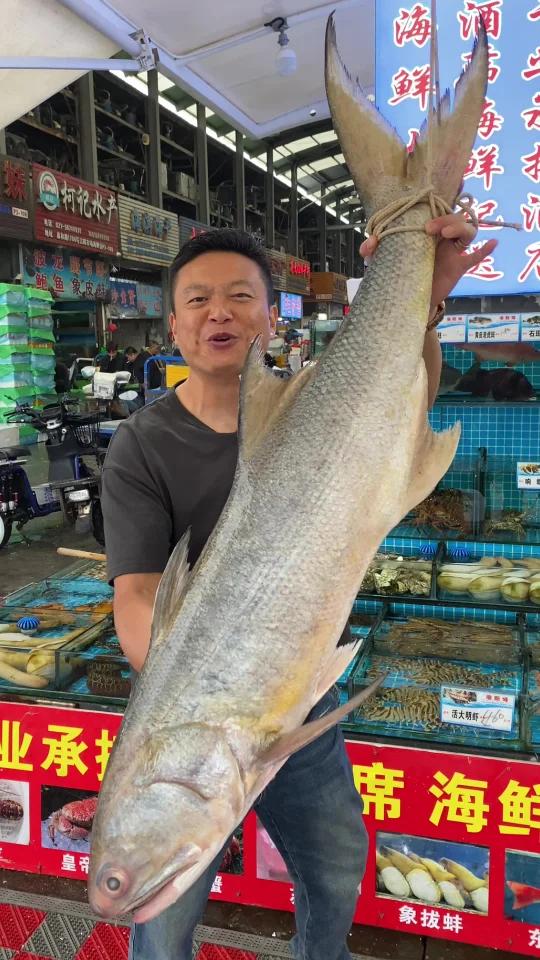 南海鱼王四指马鲅,闽南第一鱼。听说味道非常的好吃,做个刺身鱼饭和酒鬼鱼头尝尝!