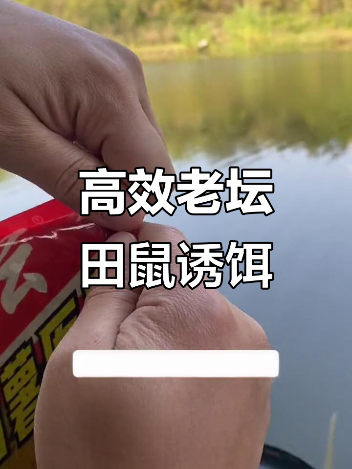老坛甜薯岩浆饵料,钓鱼必备大杀器!