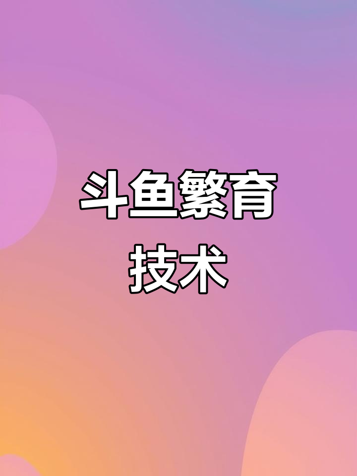 中国斗鱼繁殖技巧大揭秘,水族爱好者必看!