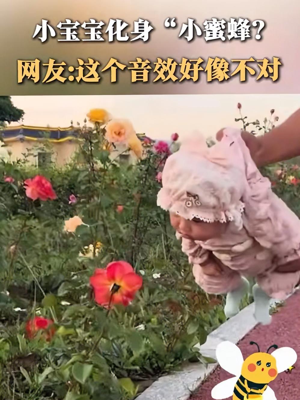 芝士就是力量 好吃的披萨推荐 早餐吃什么 披萨 皇家小虎