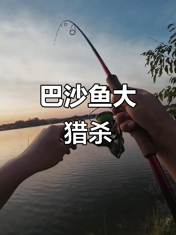 轻松捕获超大巴沙鱼,和朋友一起享受刺激的捕鱼体验!