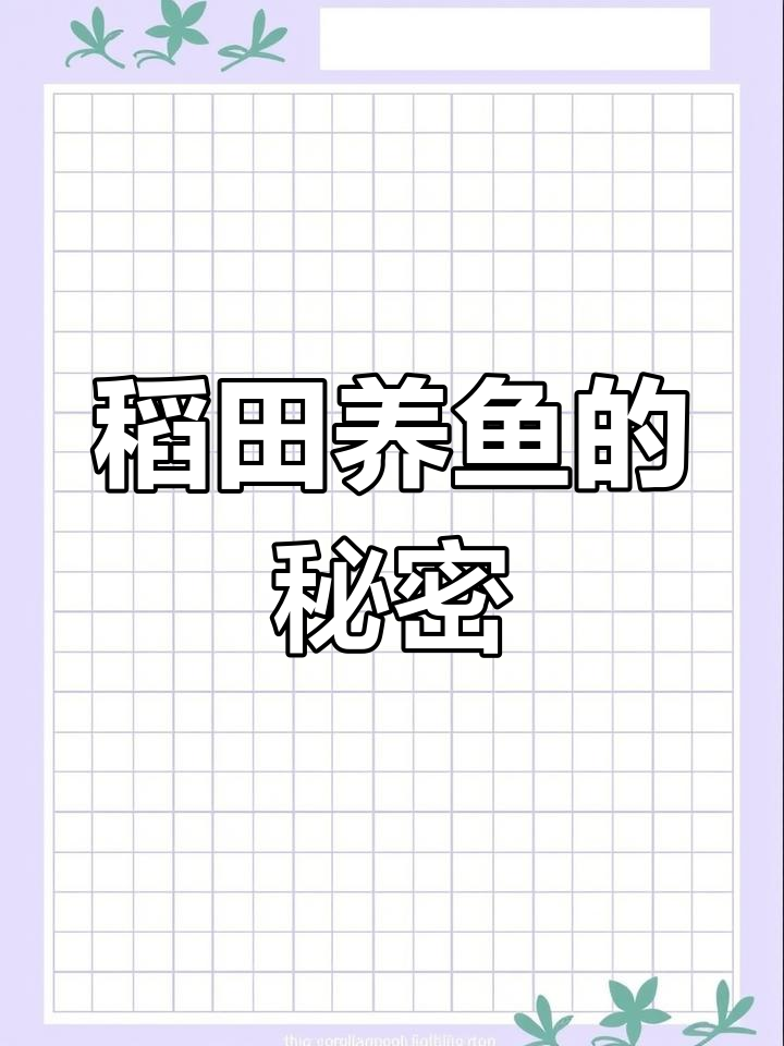 稻田养鱼年入600万,如何实现循环农业?