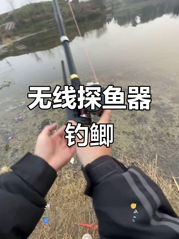 无线探鱼器助力钓鱼,轻松捕捉鲫鱼