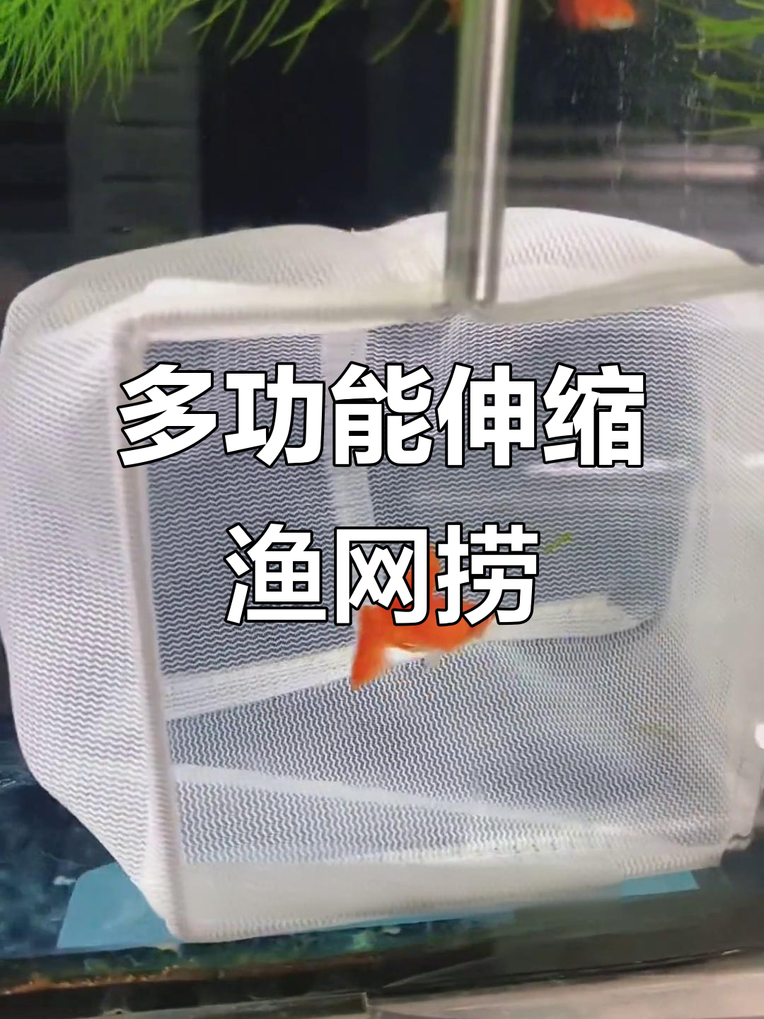 强迫症福音!这款鱼网捞让你轻松捕捞,圆形方形任你选