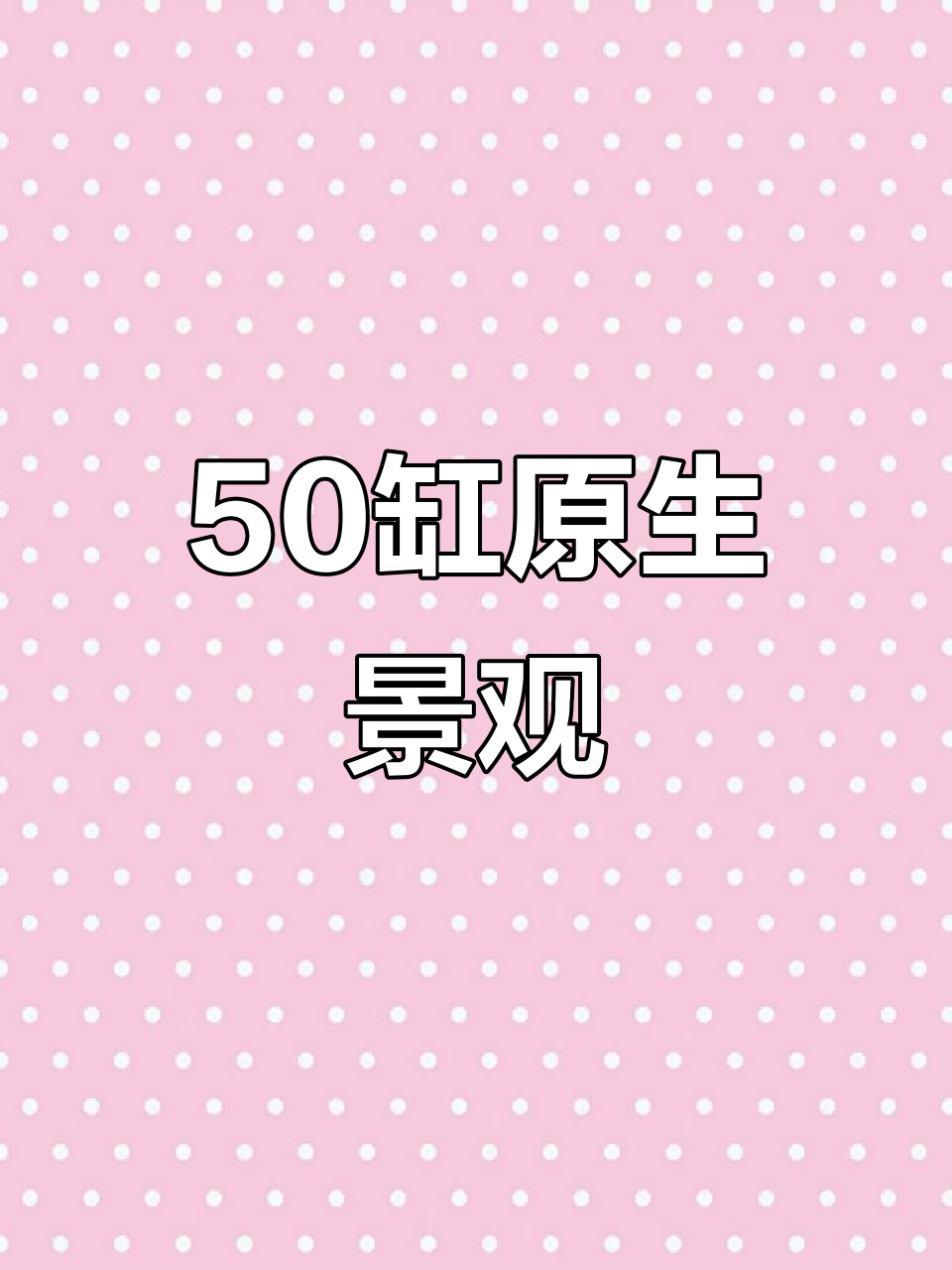 50缸原生鱼缸造景，青龙石与竹节草搭配