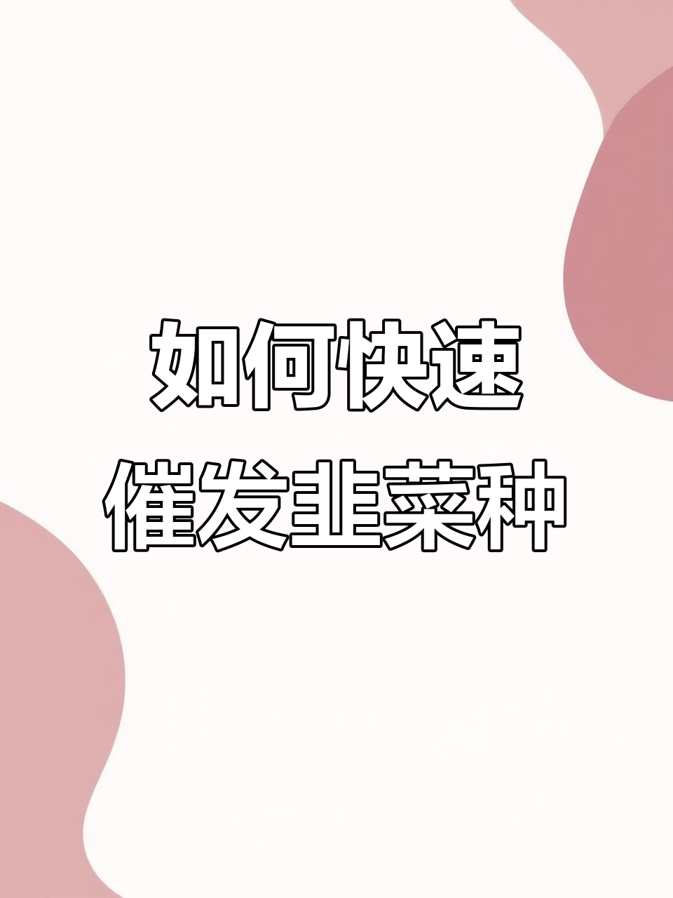 韭菜种子催芽技巧，掌握这些步骤轻松发芽