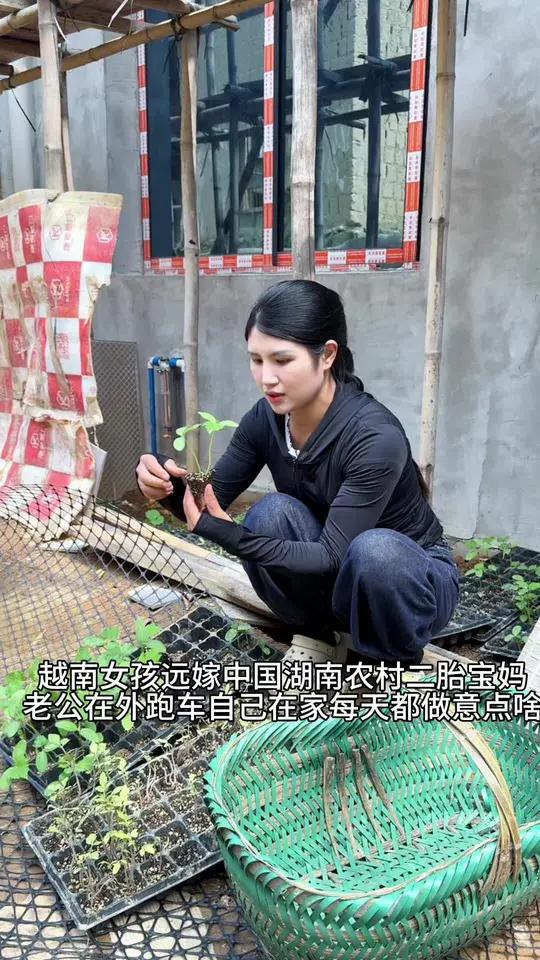 种菜,继续丰富我的菜园#记录真实种地生活 #种地日常 #越南媳妇 #越南女孩 #越南美女